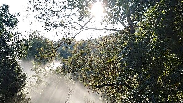 Magical fall